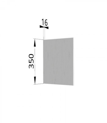 Панель торцевая (для шкафа горизонтального) ПГ Ройс (Графит софт) в Балахте - balahta.mebel54.com | фото