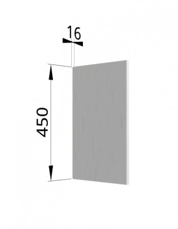 Панель торцевая (для шкафа горизонтального высокого) ВПГ Ройс (Графит софт) в Балахте - balahta.mebel54.com | фото